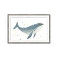 Picture of Blue Whale _GroupedProduct_Rectangle_Landscape_Mini_ _GroupedProduct_Rectangle_Landscape_Framed_Matted_
