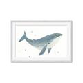 Picture of Blue Whale _GroupedProduct_Rectangle_Landscape_Mini_ _GroupedProduct_Rectangle_Landscape_Framed_Matted_