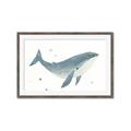 Picture of Blue Whale _GroupedProduct_Rectangle_Landscape_Mini_ _GroupedProduct_Rectangle_Landscape_Framed_Matted_