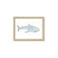 Picture of Blue Whale lll _GroupedProduct_Rectangle_Landscape_Mini_ _GroupedProduct_Rectangle_Landscape_Framed_Matted_