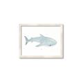 Picture of Blue Whale lll _GroupedProduct_Rectangle_Landscape_Mini_ _GroupedProduct_Rectangle_Landscape_Framed_Matted_