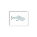 Picture of Blue Whale lll _GroupedProduct_Rectangle_Landscape_Mini_ _GroupedProduct_Rectangle_Landscape_Framed_Matted_