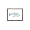 Picture of Blue Whale lll _GroupedProduct_Rectangle_Landscape_Mini_ _GroupedProduct_Rectangle_Landscape_Framed_Matted_
