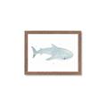 Picture of Blue Whale lll _GroupedProduct_Rectangle_Landscape_Mini_ _GroupedProduct_Rectangle_Landscape_Framed_Matted_