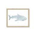 Picture of Blue Whale lll _GroupedProduct_Rectangle_Landscape_Mini_ _GroupedProduct_Rectangle_Landscape_Framed_Matted_