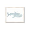 Picture of Blue Whale lll _GroupedProduct_Rectangle_Landscape_Mini_ _GroupedProduct_Rectangle_Landscape_Framed_Matted_