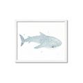 Picture of Blue Whale lll _GroupedProduct_Rectangle_Landscape_Mini_ _GroupedProduct_Rectangle_Landscape_Framed_Matted_