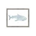 Picture of Blue Whale lll _GroupedProduct_Rectangle_Landscape_Mini_ _GroupedProduct_Rectangle_Landscape_Framed_Matted_