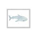 Picture of Blue Whale lll _GroupedProduct_Rectangle_Landscape_Mini_ _GroupedProduct_Rectangle_Landscape_Framed_Matted_