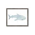 Picture of Blue Whale lll _GroupedProduct_Rectangle_Landscape_Mini_ _GroupedProduct_Rectangle_Landscape_Framed_Matted_