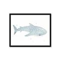 Picture of Blue Whale lll _GroupedProduct_Rectangle_Landscape_Mini_ _GroupedProduct_Rectangle_Landscape_Framed_Matted_