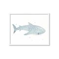 Picture of Blue Whale lll _GroupedProduct_Rectangle_Landscape_Mini_ _GroupedProduct_Rectangle_Landscape_Framed_Matted_