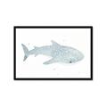 Picture of Blue Whale lll _GroupedProduct_Rectangle_Landscape_Mini_ _GroupedProduct_Rectangle_Landscape_Framed_Matted_