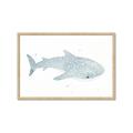 Picture of Blue Whale lll _GroupedProduct_Rectangle_Landscape_Mini_ _GroupedProduct_Rectangle_Landscape_Framed_Matted_