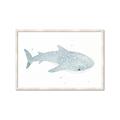Picture of Blue Whale lll _GroupedProduct_Rectangle_Landscape_Mini_ _GroupedProduct_Rectangle_Landscape_Framed_Matted_