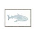 Picture of Blue Whale lll _GroupedProduct_Rectangle_Landscape_Mini_ _GroupedProduct_Rectangle_Landscape_Framed_Matted_