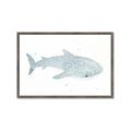 Picture of Blue Whale lll _GroupedProduct_Rectangle_Landscape_Mini_ _GroupedProduct_Rectangle_Landscape_Framed_Matted_