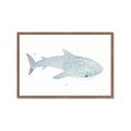 Picture of Blue Whale lll _GroupedProduct_Rectangle_Landscape_Mini_ _GroupedProduct_Rectangle_Landscape_Framed_Matted_