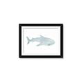Picture of Blue Whale lll _GroupedProduct_Rectangle_Landscape_Mini_ _GroupedProduct_Rectangle_Landscape_Framed_Matted_