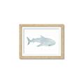 Picture of Blue Whale lll _GroupedProduct_Rectangle_Landscape_Mini_ _GroupedProduct_Rectangle_Landscape_Framed_Matted_