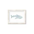 Picture of Blue Whale lll _GroupedProduct_Rectangle_Landscape_Mini_ _GroupedProduct_Rectangle_Landscape_Framed_Matted_