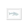 Picture of Blue Whale lll _GroupedProduct_Rectangle_Landscape_Mini_ _GroupedProduct_Rectangle_Landscape_Framed_Matted_