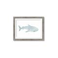 Picture of Blue Whale lll _GroupedProduct_Rectangle_Landscape_Mini_ _GroupedProduct_Rectangle_Landscape_Framed_Matted_