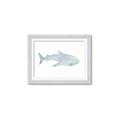 Picture of Blue Whale lll _GroupedProduct_Rectangle_Landscape_Mini_ _GroupedProduct_Rectangle_Landscape_Framed_Matted_
