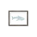 Picture of Blue Whale lll _GroupedProduct_Rectangle_Landscape_Mini_ _GroupedProduct_Rectangle_Landscape_Framed_Matted_
