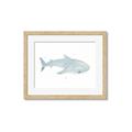 Picture of Blue Whale lll _GroupedProduct_Rectangle_Landscape_Mini_ _GroupedProduct_Rectangle_Landscape_Framed_Matted_