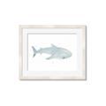 Picture of Blue Whale lll _GroupedProduct_Rectangle_Landscape_Mini_ _GroupedProduct_Rectangle_Landscape_Framed_Matted_