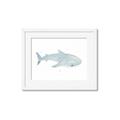 Picture of Blue Whale lll _GroupedProduct_Rectangle_Landscape_Mini_ _GroupedProduct_Rectangle_Landscape_Framed_Matted_