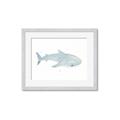 Picture of Blue Whale lll _GroupedProduct_Rectangle_Landscape_Mini_ _GroupedProduct_Rectangle_Landscape_Framed_Matted_