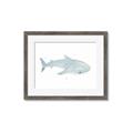 Picture of Blue Whale lll _GroupedProduct_Rectangle_Landscape_Mini_ _GroupedProduct_Rectangle_Landscape_Framed_Matted_
