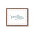 Picture of Blue Whale lll _GroupedProduct_Rectangle_Landscape_Mini_ _GroupedProduct_Rectangle_Landscape_Framed_Matted_