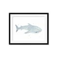 Picture of Blue Whale lll _GroupedProduct_Rectangle_Landscape_Mini_ _GroupedProduct_Rectangle_Landscape_Framed_Matted_