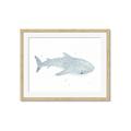 Picture of Blue Whale lll _GroupedProduct_Rectangle_Landscape_Mini_ _GroupedProduct_Rectangle_Landscape_Framed_Matted_
