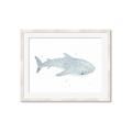 Picture of Blue Whale lll _GroupedProduct_Rectangle_Landscape_Mini_ _GroupedProduct_Rectangle_Landscape_Framed_Matted_