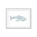 Picture of Blue Whale lll _GroupedProduct_Rectangle_Landscape_Mini_ _GroupedProduct_Rectangle_Landscape_Framed_Matted_