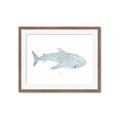 Picture of Blue Whale lll _GroupedProduct_Rectangle_Landscape_Mini_ _GroupedProduct_Rectangle_Landscape_Framed_Matted_