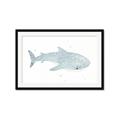 Picture of Blue Whale lll _GroupedProduct_Rectangle_Landscape_Mini_ _GroupedProduct_Rectangle_Landscape_Framed_Matted_