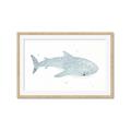 Picture of Blue Whale lll _GroupedProduct_Rectangle_Landscape_Mini_ _GroupedProduct_Rectangle_Landscape_Framed_Matted_