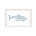 Picture of Blue Whale lll _GroupedProduct_Rectangle_Landscape_Mini_ _GroupedProduct_Rectangle_Landscape_Framed_Matted_