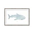 Picture of Blue Whale lll _GroupedProduct_Rectangle_Landscape_Mini_ _GroupedProduct_Rectangle_Landscape_Framed_Matted_