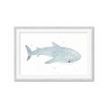 Picture of Blue Whale lll _GroupedProduct_Rectangle_Landscape_Mini_ _GroupedProduct_Rectangle_Landscape_Framed_Matted_