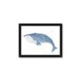 Picture of Blue Whale ll _GroupedProduct_Rectangle_Landscape_Mini_ _GroupedProduct_Rectangle_Landscape_Framed_Matted_