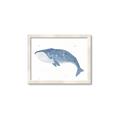 Picture of Blue Whale ll _GroupedProduct_Rectangle_Landscape_Mini_ _GroupedProduct_Rectangle_Landscape_Framed_Matted_