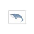 Picture of Blue Whale ll _GroupedProduct_Rectangle_Landscape_Mini_ _GroupedProduct_Rectangle_Landscape_Framed_Matted_