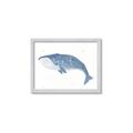 Picture of Blue Whale ll _GroupedProduct_Rectangle_Landscape_Mini_ _GroupedProduct_Rectangle_Landscape_Framed_Matted_