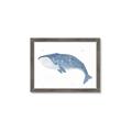 Picture of Blue Whale ll _GroupedProduct_Rectangle_Landscape_Mini_ _GroupedProduct_Rectangle_Landscape_Framed_Matted_